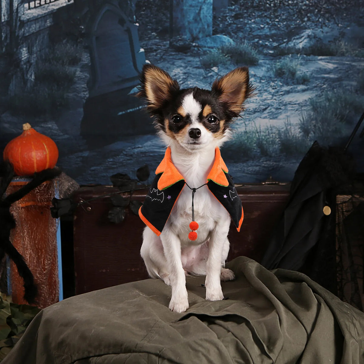 Halloween Cape for your pup.