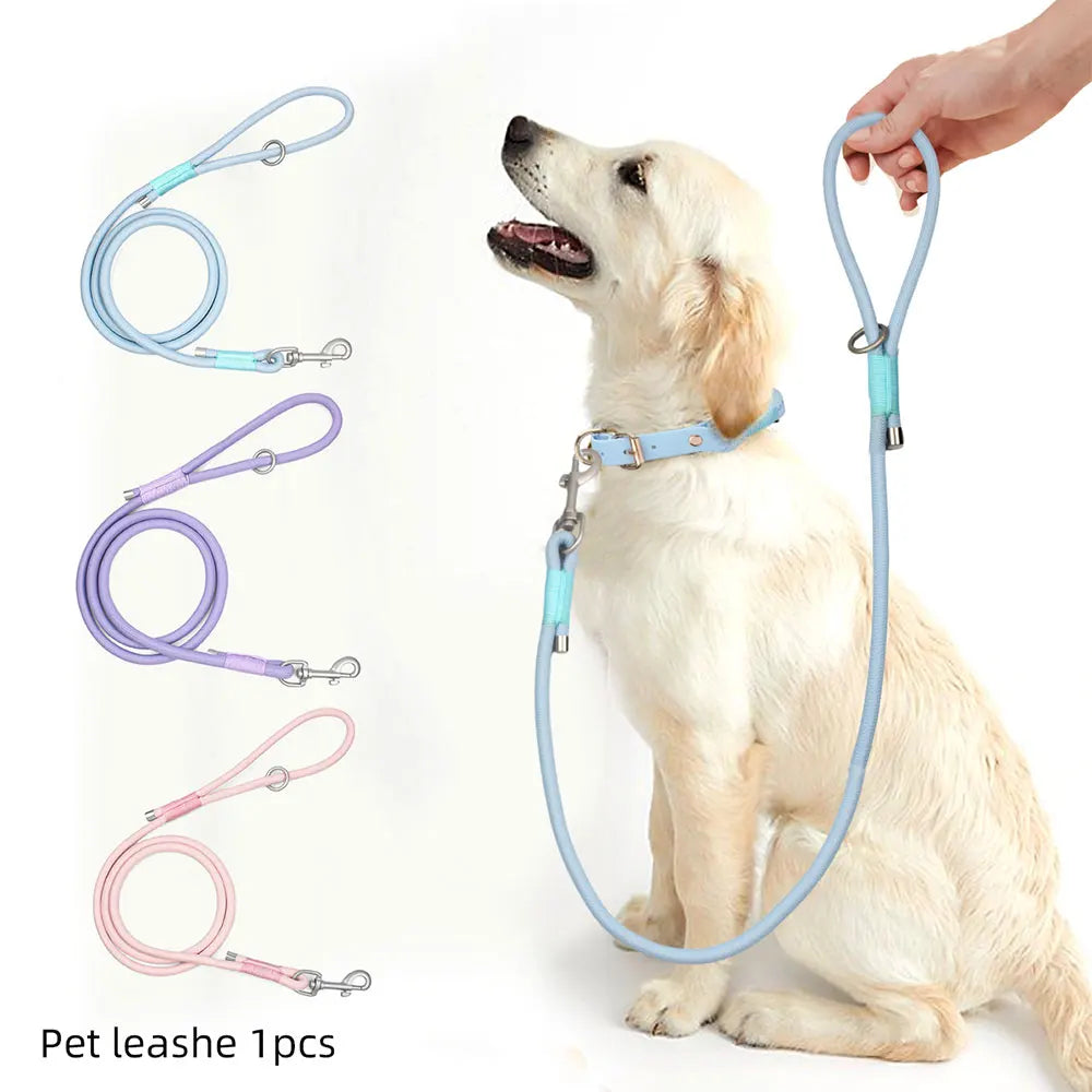 Nylon Leash