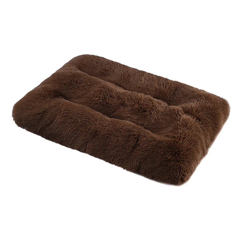 Soft and Cozy Bed