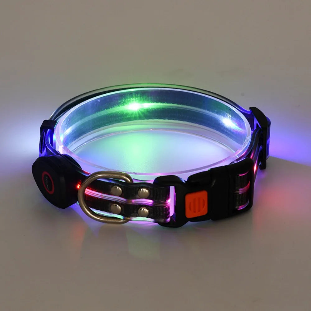 Rechargeable, Adjustable & Waterproof LED Leash for your pup.