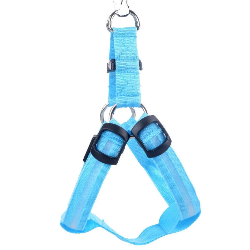 LED Light Up Harness for your pup's night time walks.