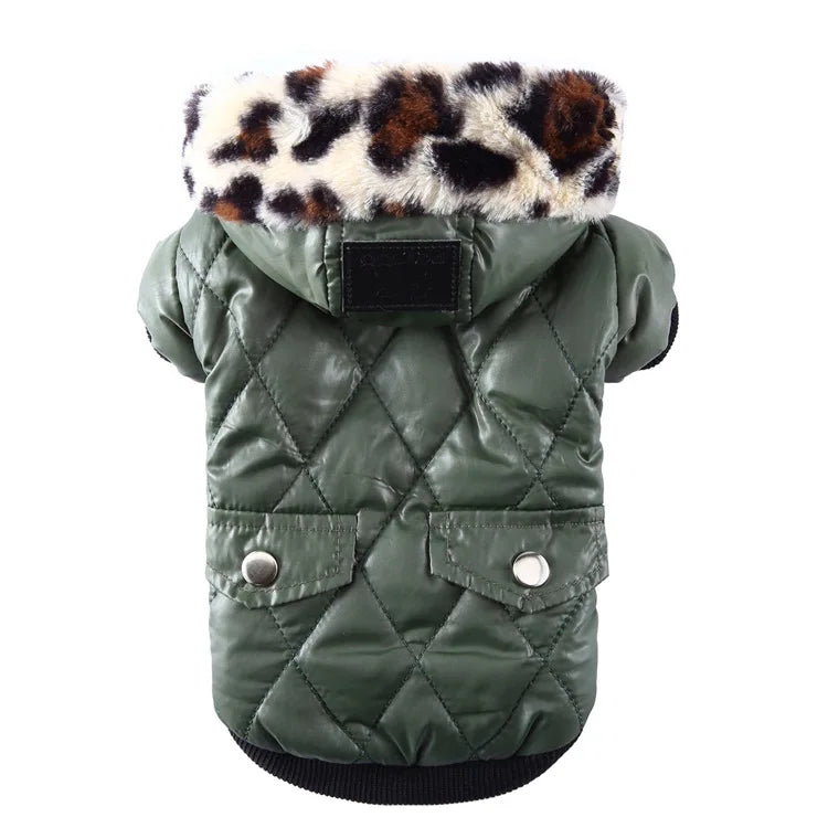 Waterproof Winter Jacket with Print Collar for your pup.