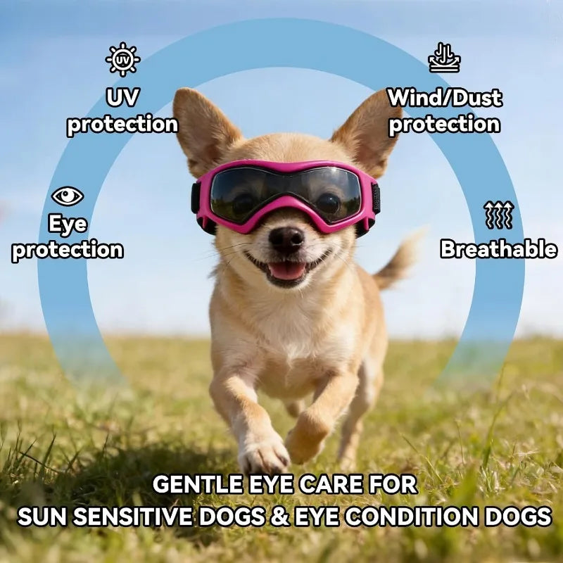 UV Protective Goggles for Small/Medium pups.