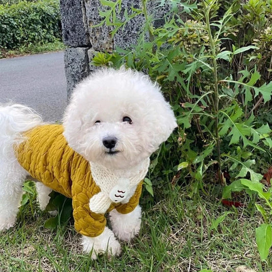 Thick Warm Cotton Jacket for your pup.