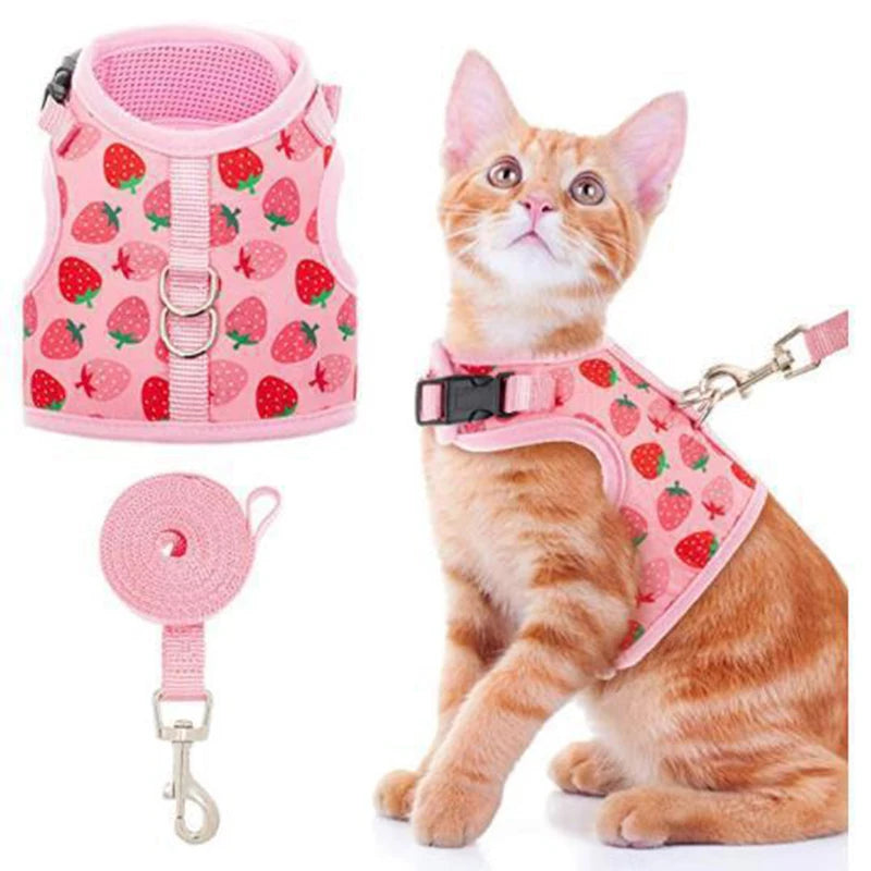 Escape Proof Breathable Cat Harness and Leash Set