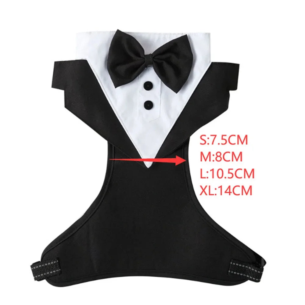 Tuxedo with Bow Tie for your pup's special day.