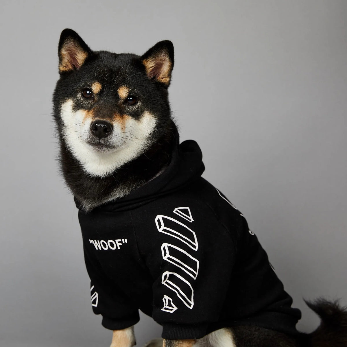 Designer Hoodies for your pup.