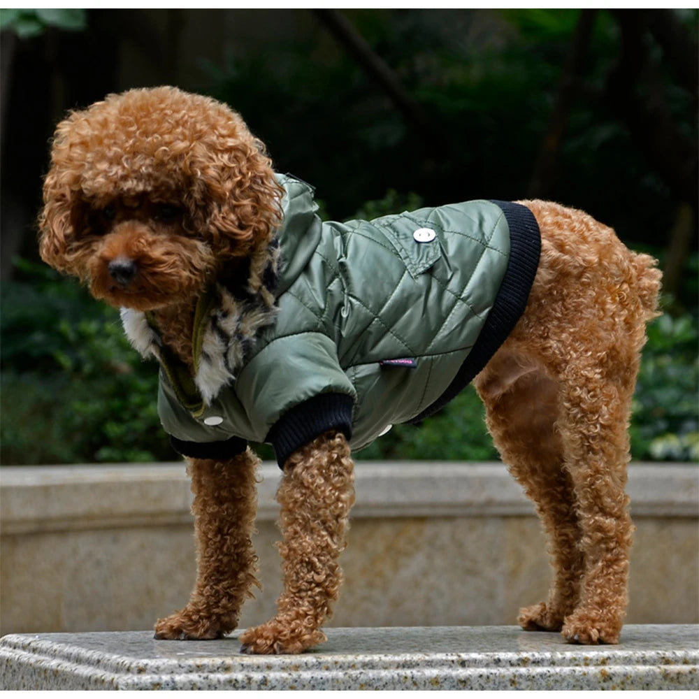 Waterproof Winter Jacket with Print Collar for your pup.