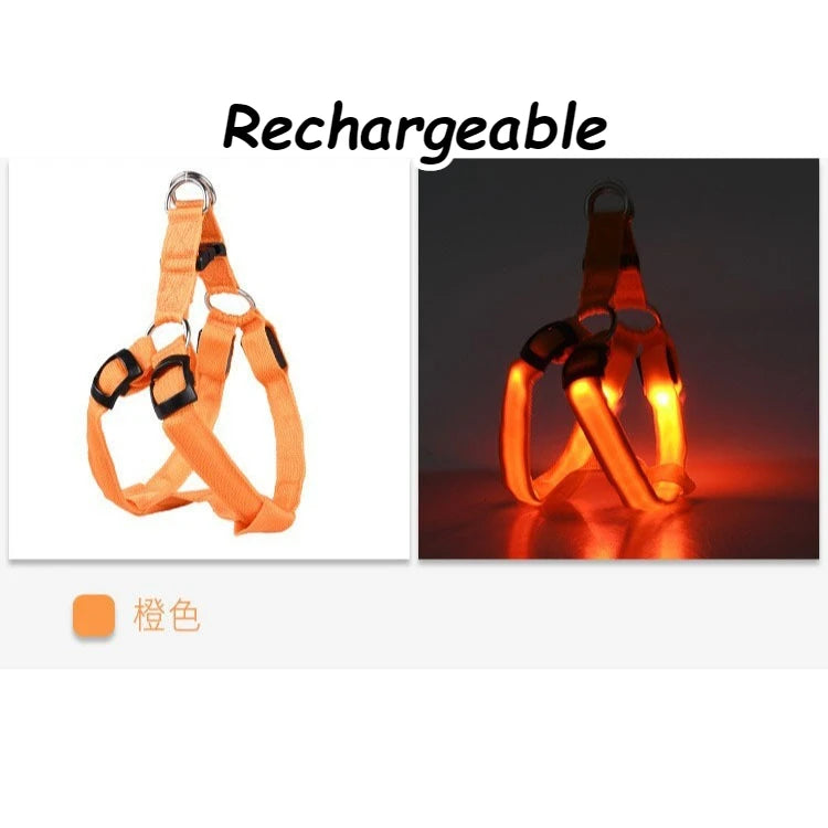 LED Light Up Harness for your pup's night time walks.