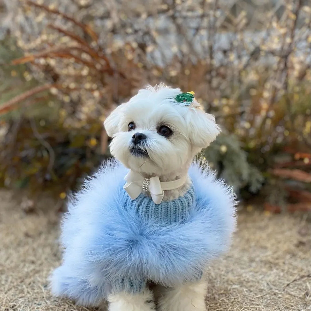 Fancy Faux Fur Sweater for your fancy pup!