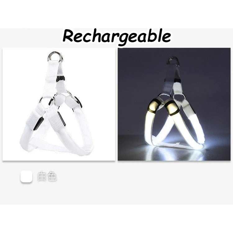 LED Light Up Harness for your pup's night time walks.