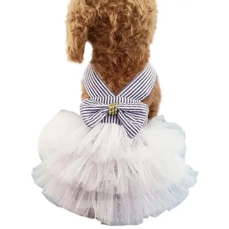 Tutu with Bow for your pup.