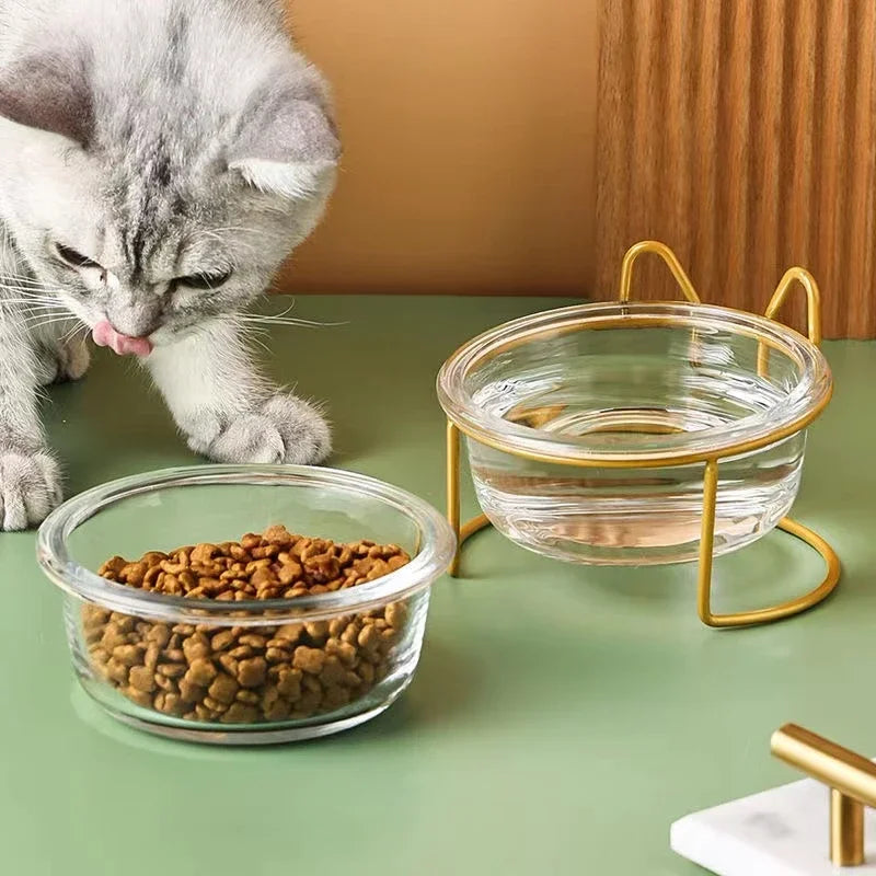 Glass Food / Water Bowl with Iron Frame/Gold Raised Stand