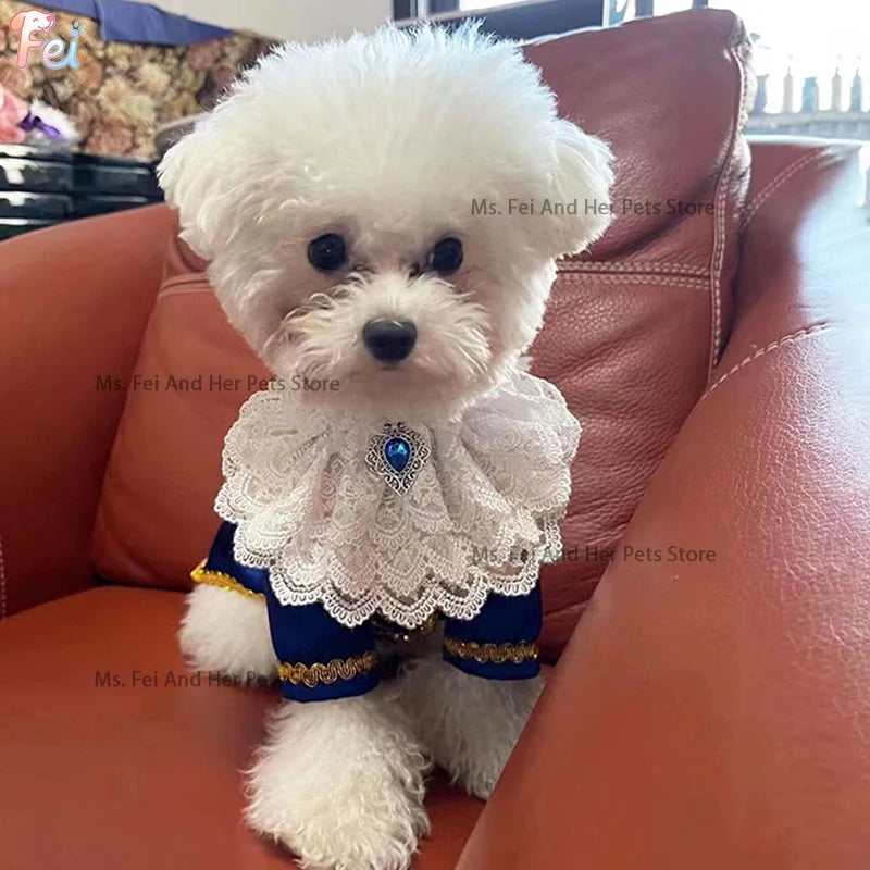 Halloween Beauty and Beast Themed Dog Couple Costume |