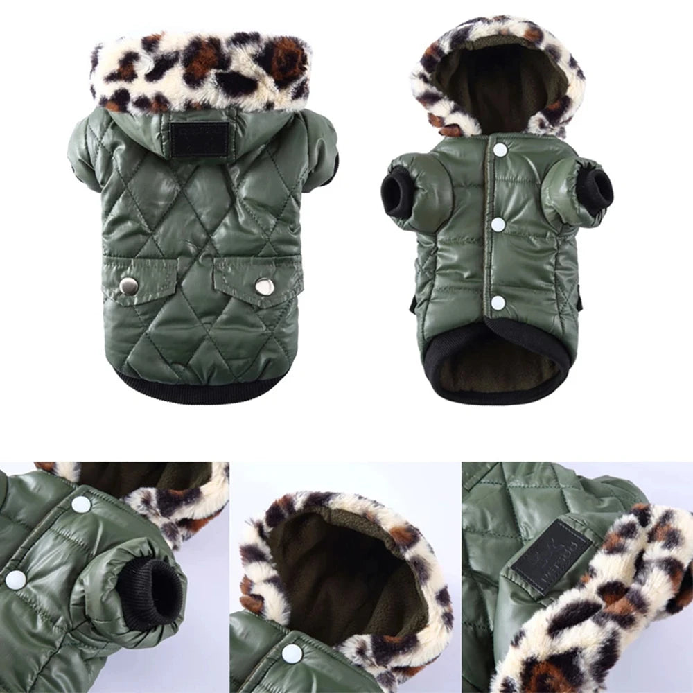 Waterproof Winter Jacket with Print Collar for your pup.