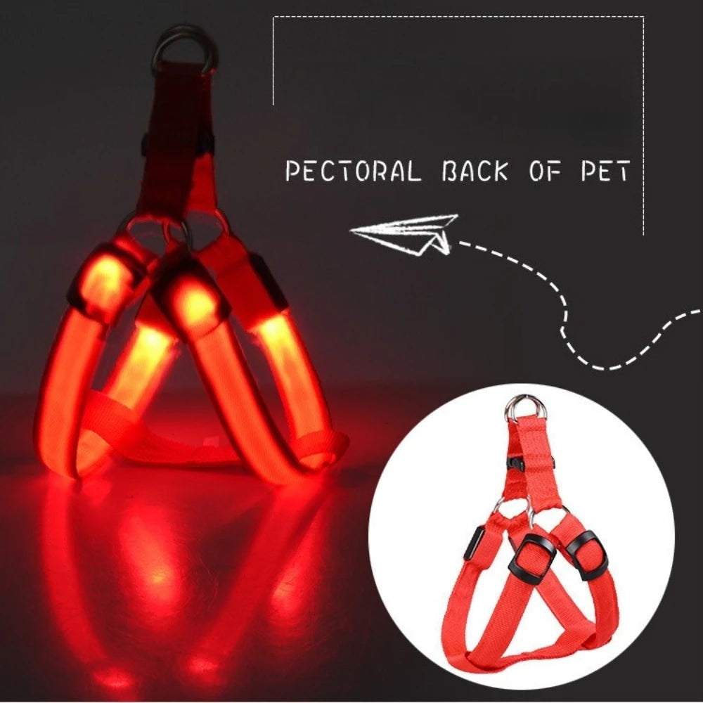 LED Light Up Harness for your pup's night time walks.