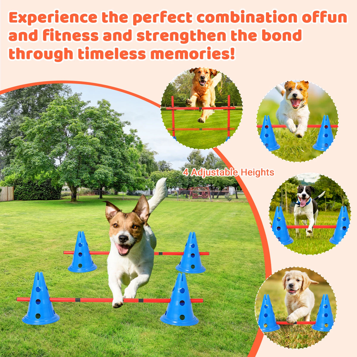 Dog Agility Adjustable Hurdle Cone Set