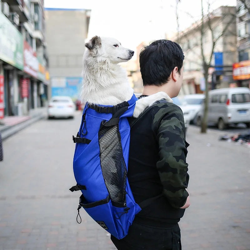 Carrier/Backpack for your pet.