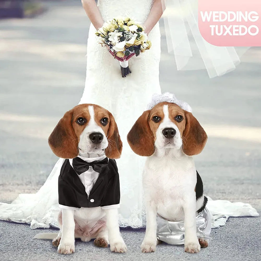 Tuxedo for that special day.