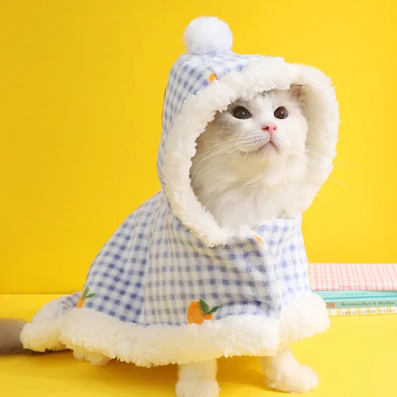 Hoodie blanket for your kitty.