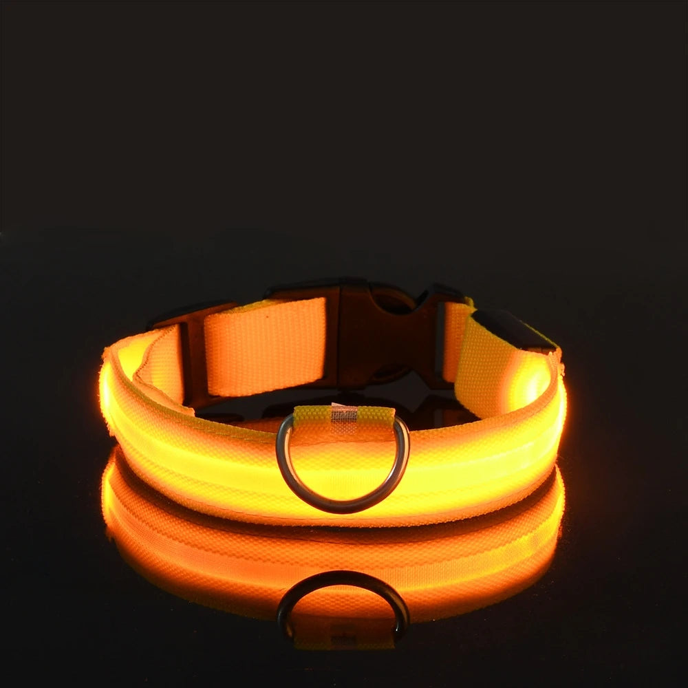 LED Light up collar for your pups nightly walks.