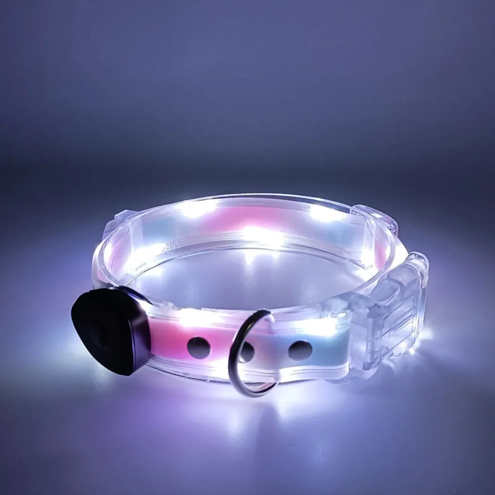 Rechargeable, Adjustable & Waterproof LED Leash for your pup.