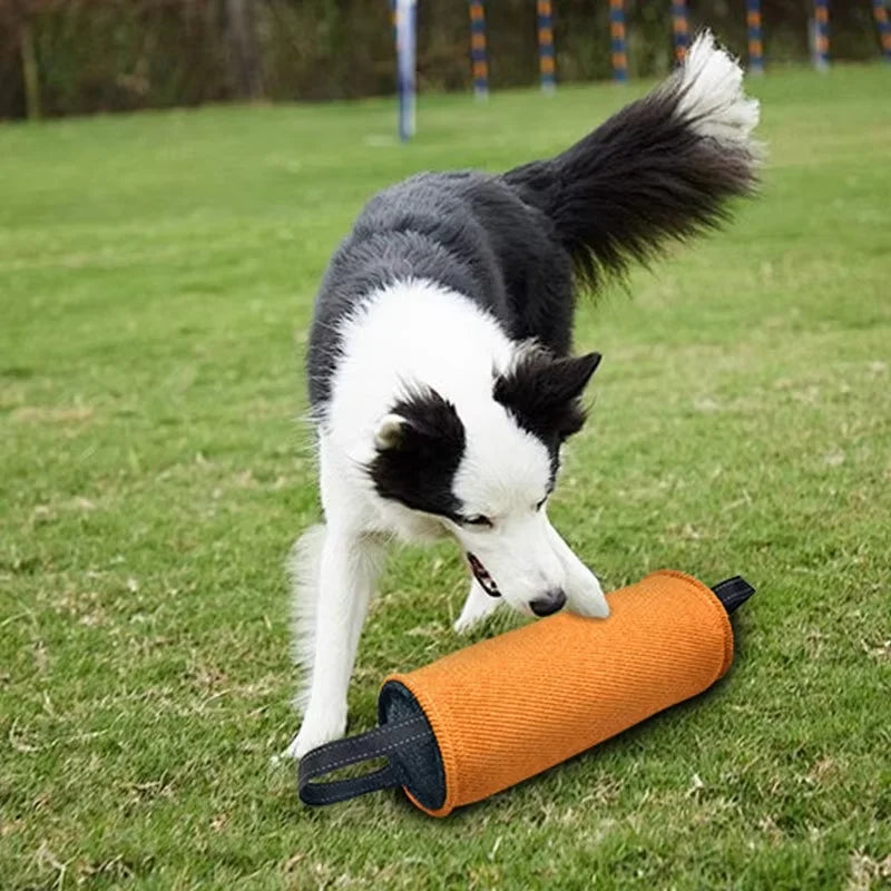 Pet Training Bite Stick