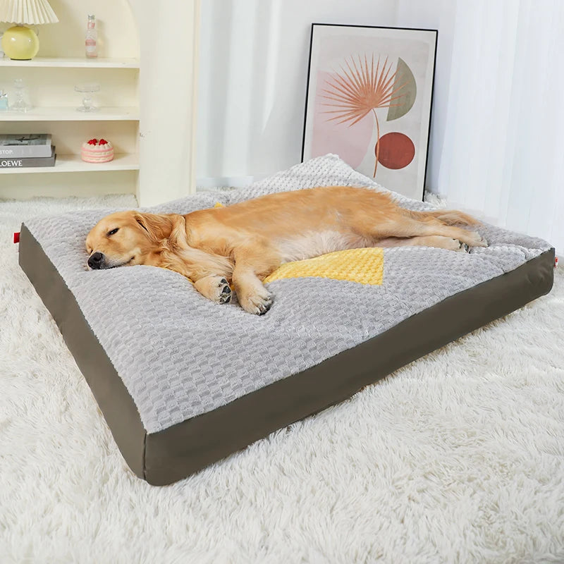 Washable Bed for your pup.