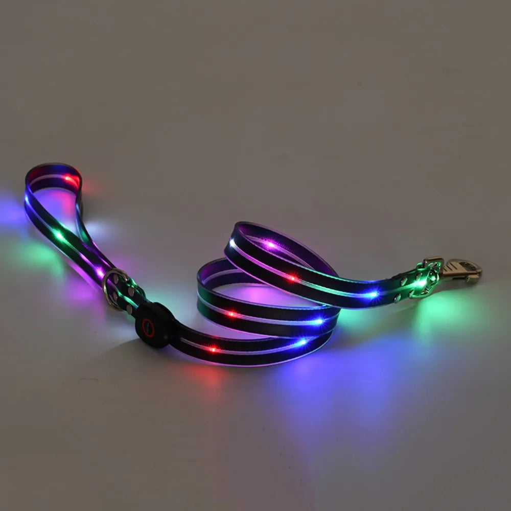 Rechargeable, Adjustable & Waterproof LED Leash for your pup.