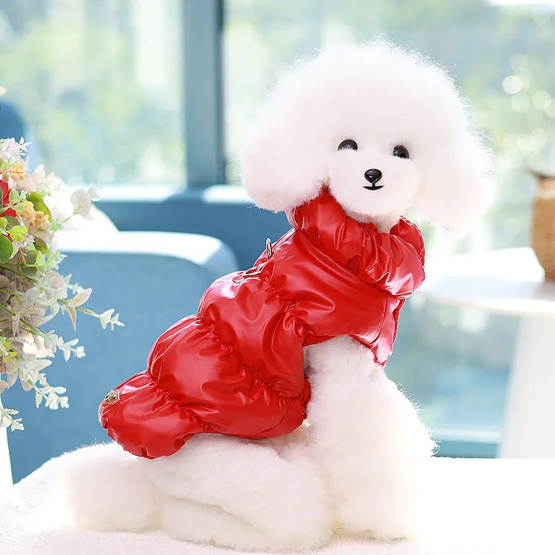 Padded Jacket to keep your pup or cat warm.