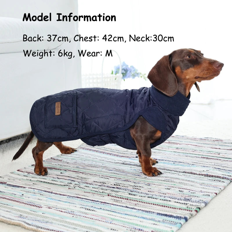 Keep your Dachshund pup warm and cozy.