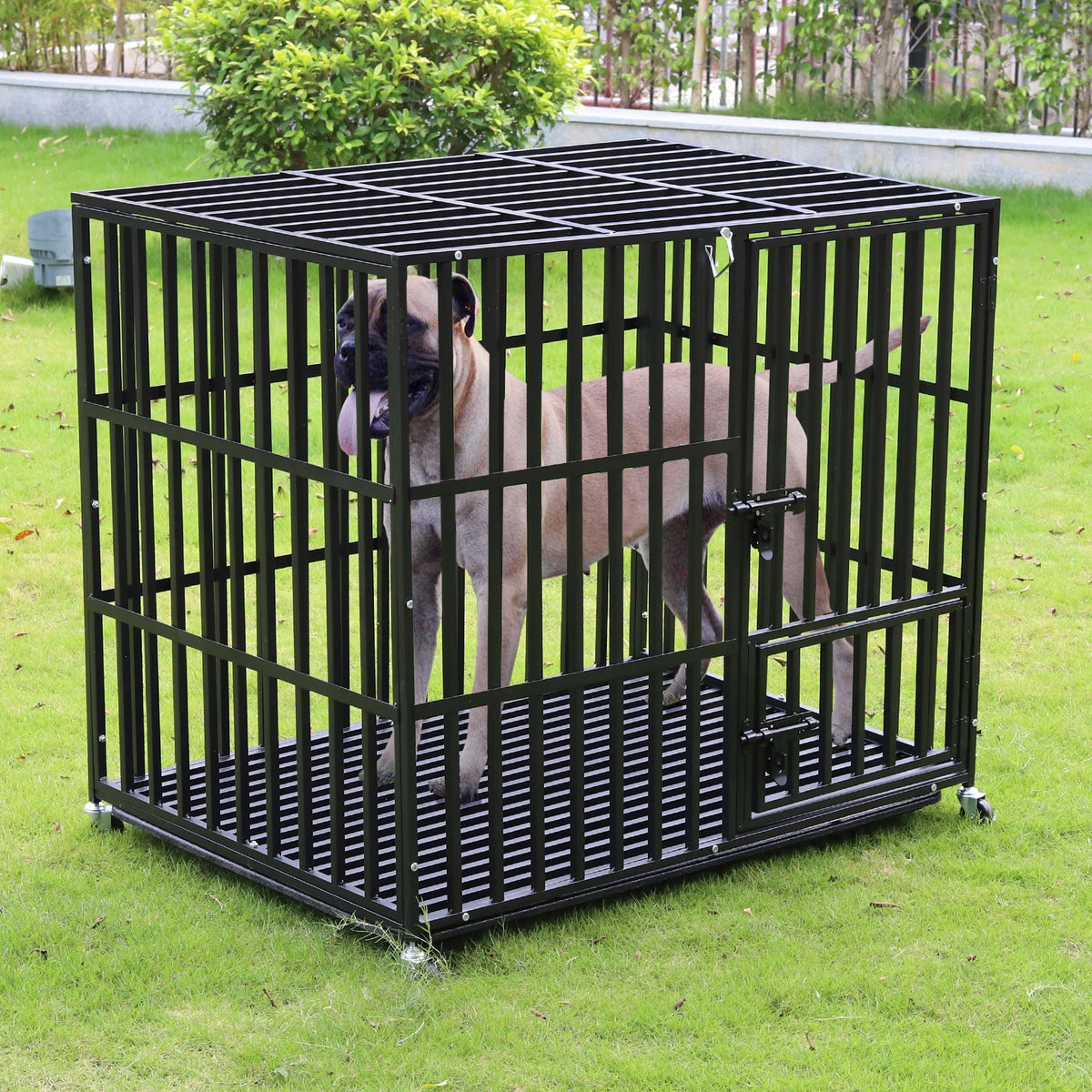 Heavy Duty Dog Crate with 3 Doors