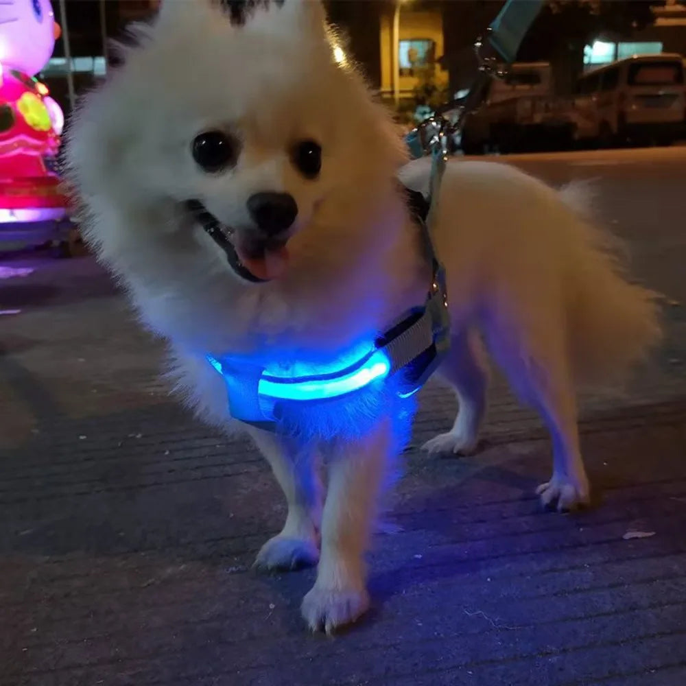 LED Light Up Harness for your pup's night time walks.