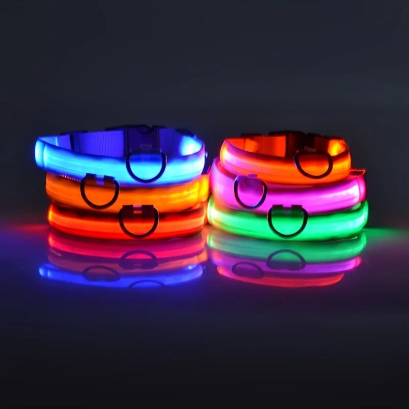 LED Light up collar for your pups nightly walks.
