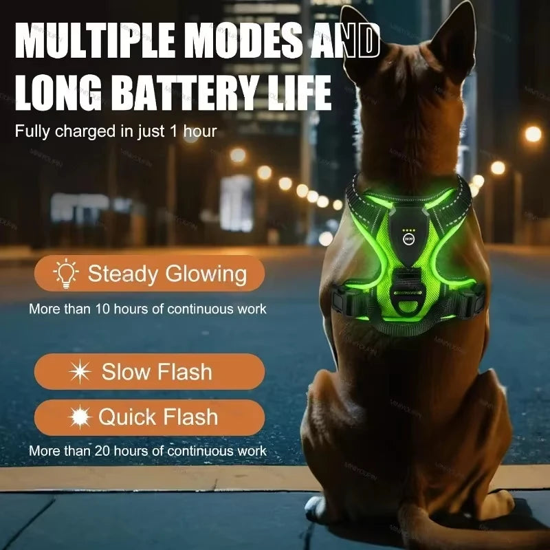 Rechargeable LED Harness with Three Light Modes