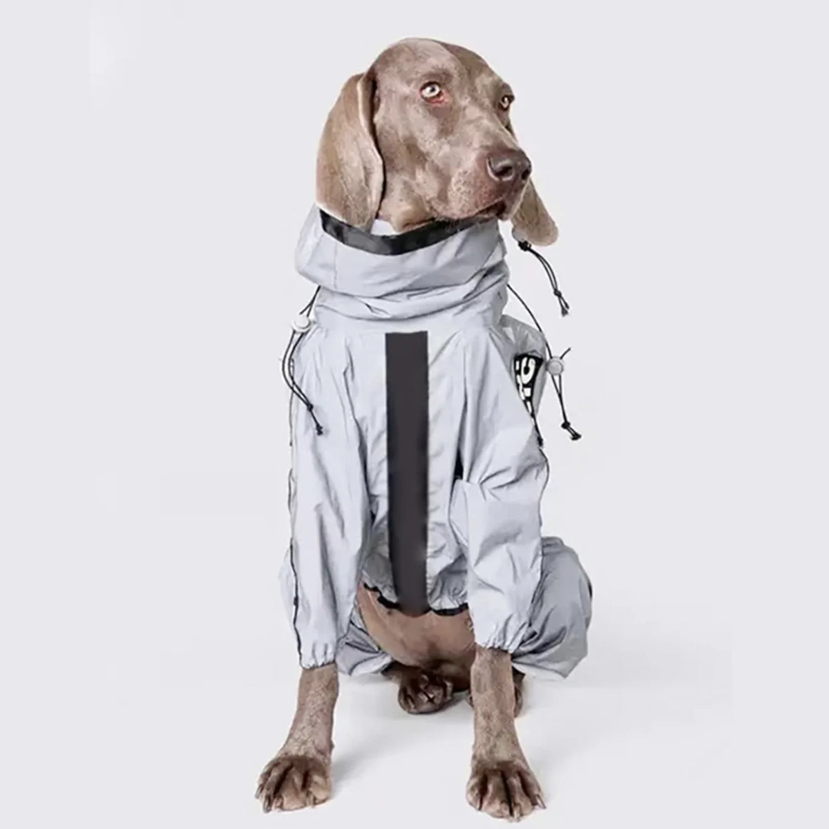 Reflective Waterproof Raincoat with UV protection for your pup.