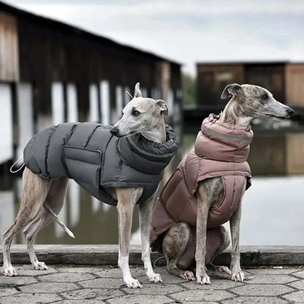 Reflective Winter Coat for your pup.