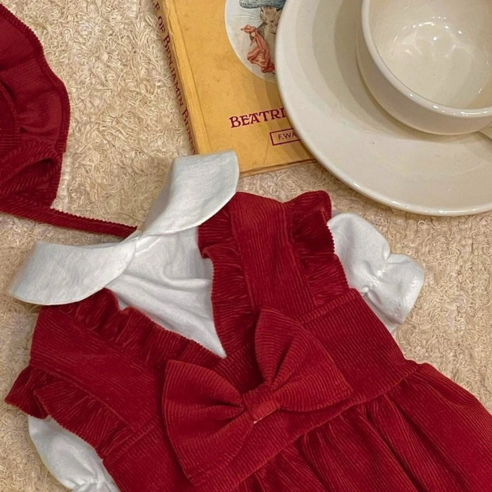 Christmas or Winter Dress for your pup.