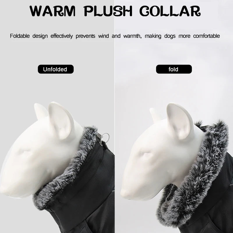 Waterproof Winter Coat With Harness or your pup.