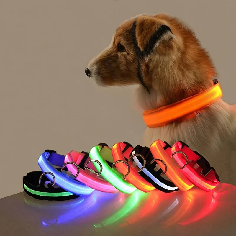 LED Light up collar for your pups nightly walks.