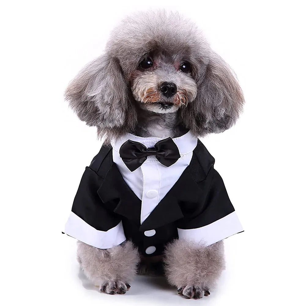 Tuxedo for that special day.