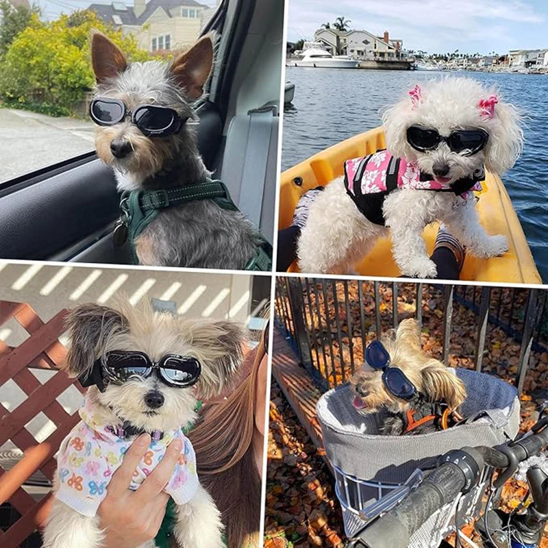 Helmet and Sunglasses Sets for Small pups.  Bring your pup on the open road.