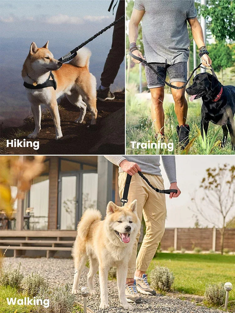 Adjustable Quick Release Leash