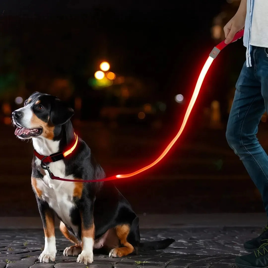 USB Rechargeable LED Light Up Leash for your pups safety.