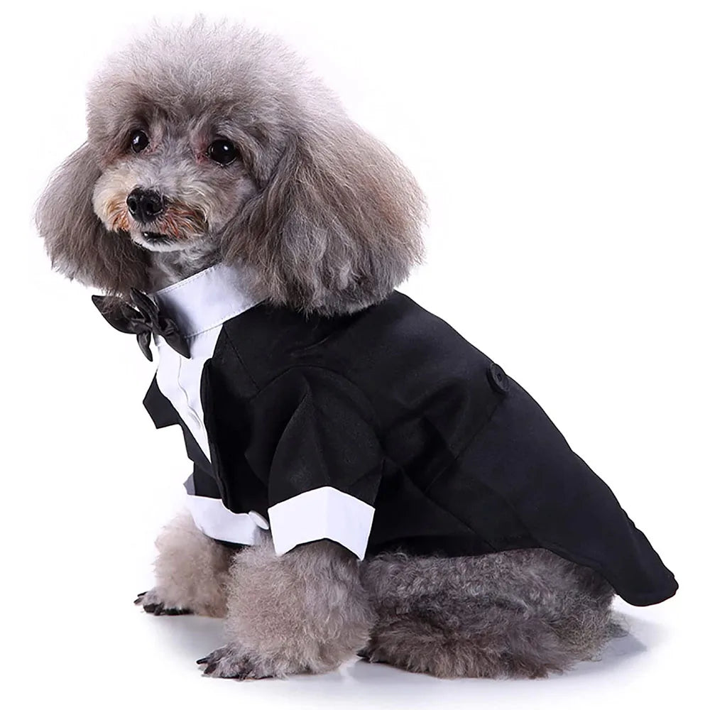 Tuxedo for that special day.