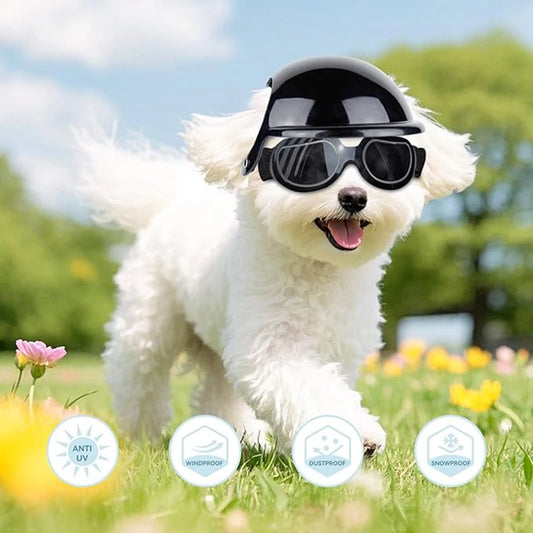 Helmet and Sunglasses Sets for Small pups.  Bring your pup on the open road.
