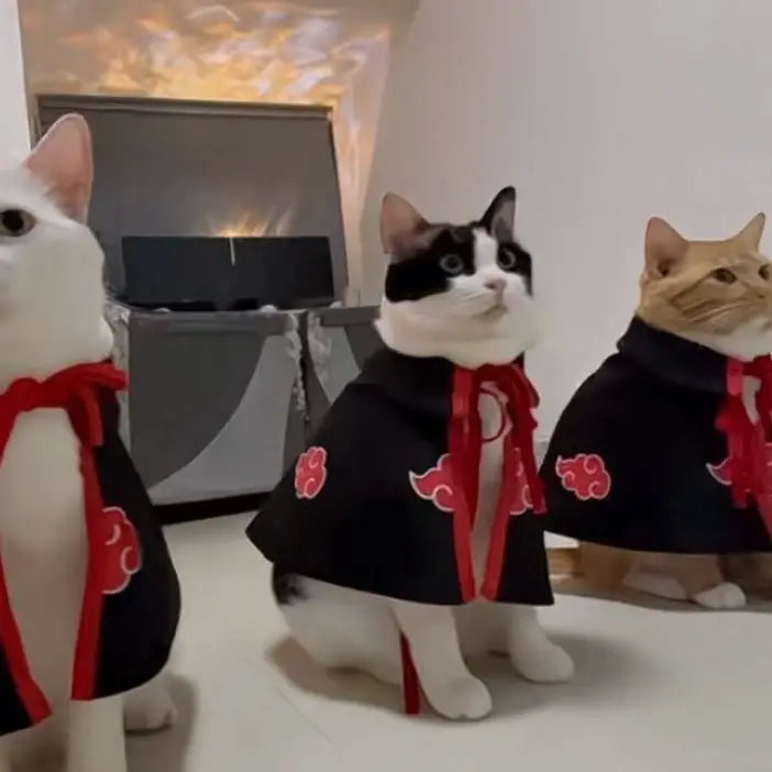 Akatsuki Organization Cloak for your cat.