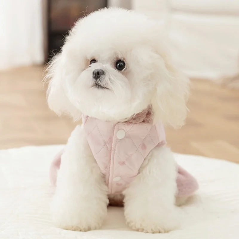 Winter Jacket for your pup.