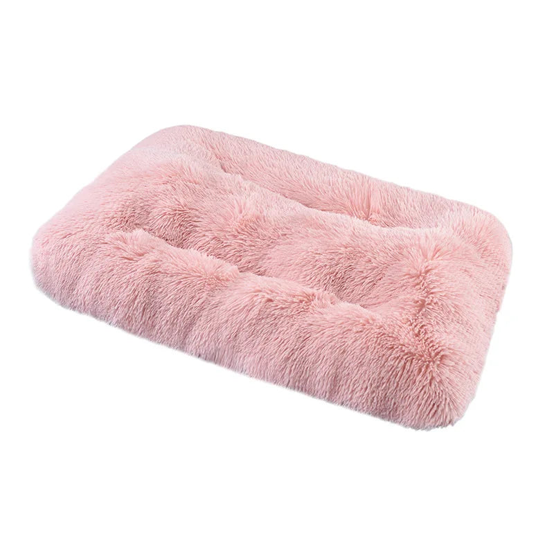 Soft and Cozy Bed