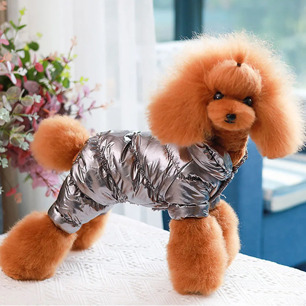 Reflective Disco Jacket for your pup.